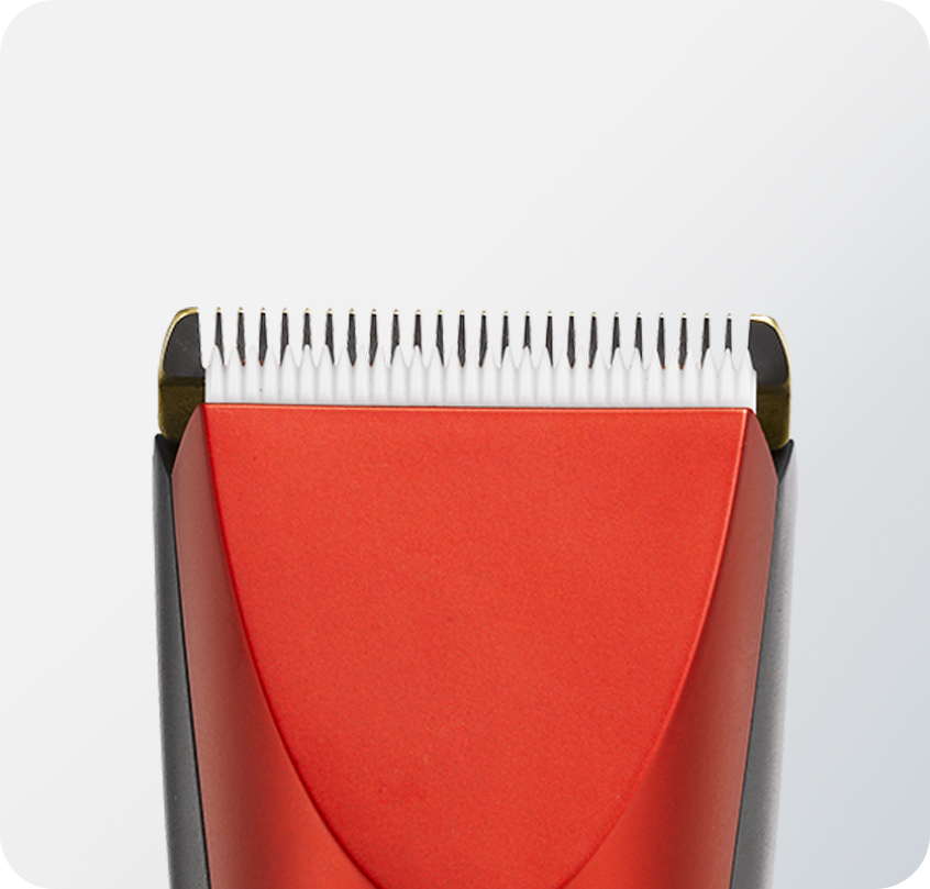 真人视讯百家乐